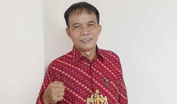 Anggota DPRD Kabupaten Barito Selatan (Barsel), Hermanes