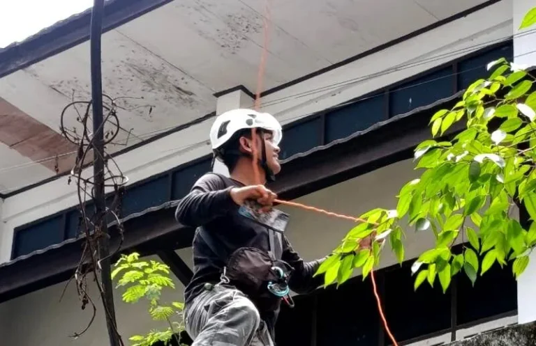 Whatsapp Image 2025 11 18 At 01.30.43