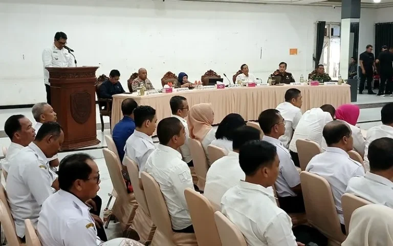 Whatsapp Image 2025 11 23 At 23.59.54