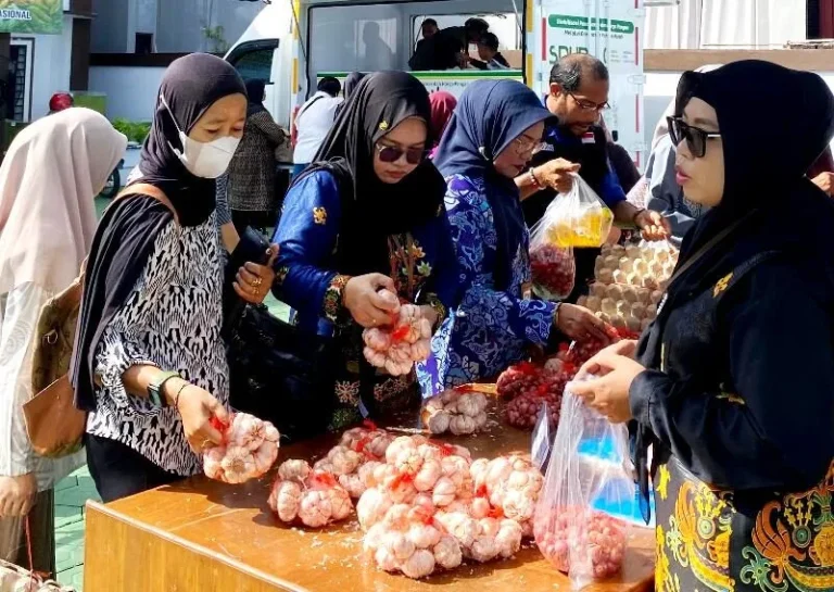 Whatsapp Image 2025 12 03 At 15.06.08