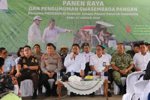 07012026033619 0