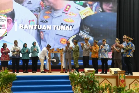 fb img 1771589546598