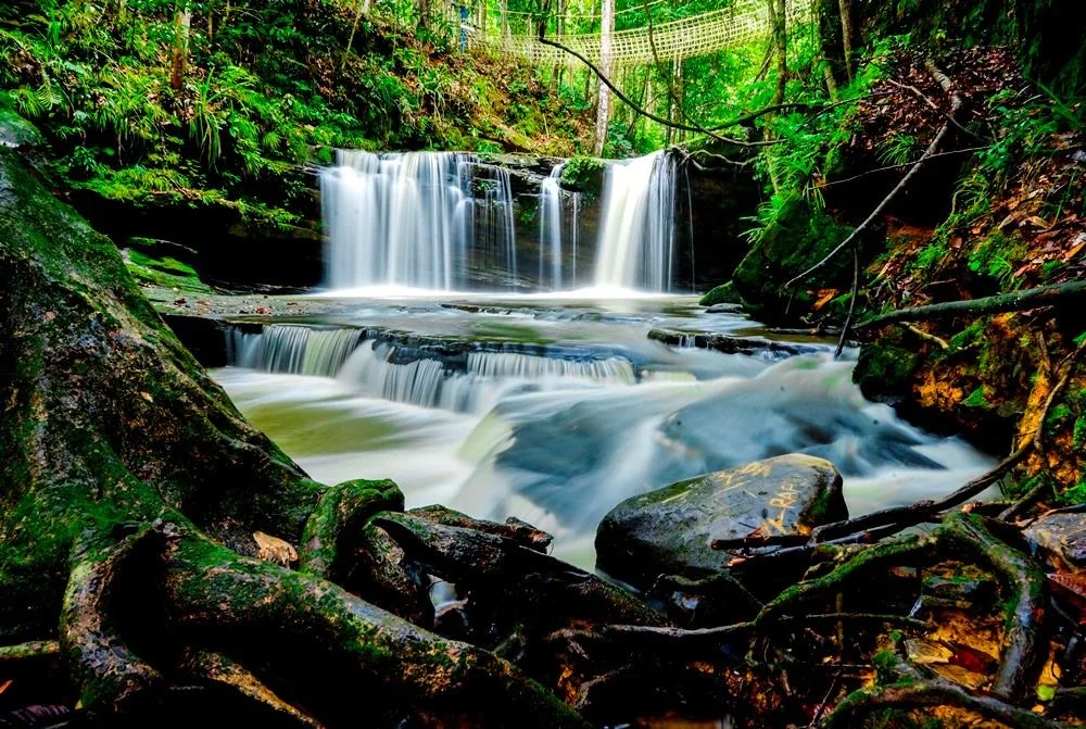 6646a0bb 5f76 4790 be71 1b2a464fa398