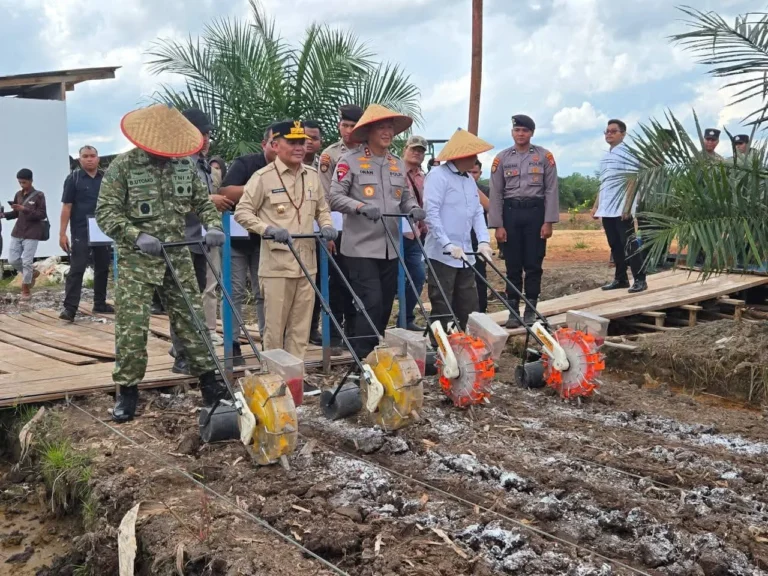 fb img 1772951191419