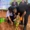 img 20260606 wa0039