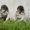 img 20261026 wa0002